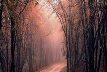 亿万28：官方：原广州队后卫王文轩加盟重庆铜梁龙.