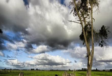 亿万28：魔术6连胜送太阳4连败 吹杨19助老鹰险胜国王.