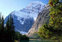 体育拼盘：年轻教头成新宠 当今足坛谁已是佼佼者？.