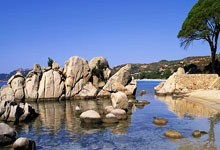 亿万28:魔术6连胜送太阳4连败 吹杨19助老鹰险胜国王.